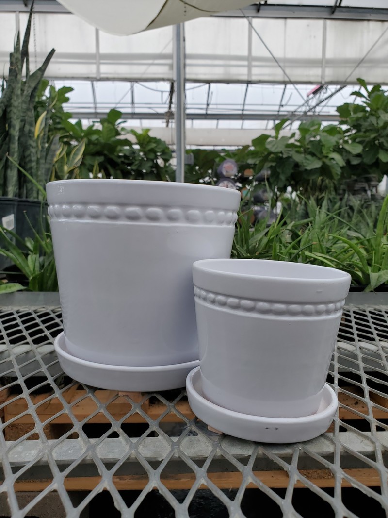Charlotte Planter With Saucer