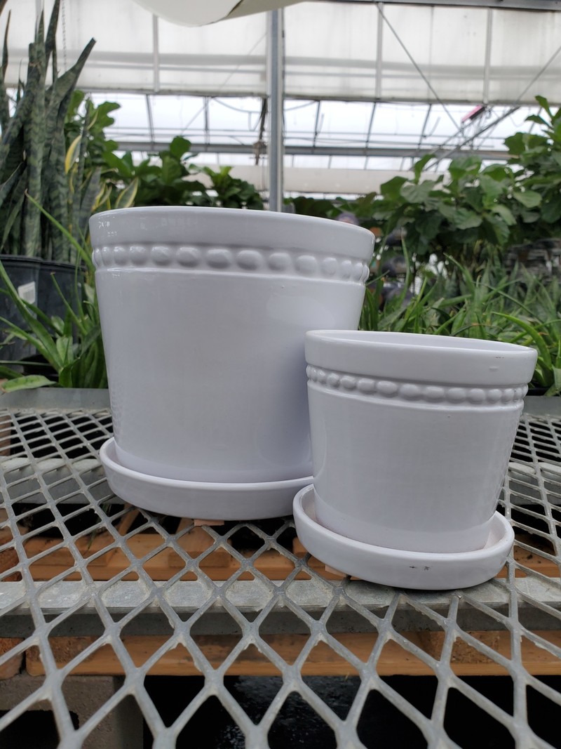 Charlotte Planter With Saucer