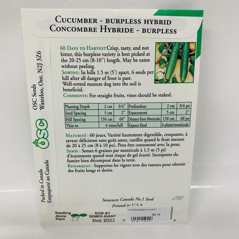 Cucumber Burpless Hybrid F1 Dutch Growers Saskatoon