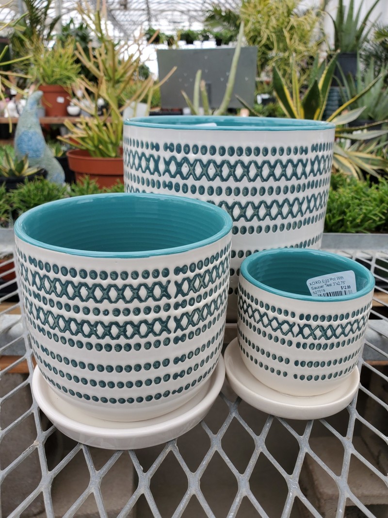 XOXO Egg Pot With Saucer