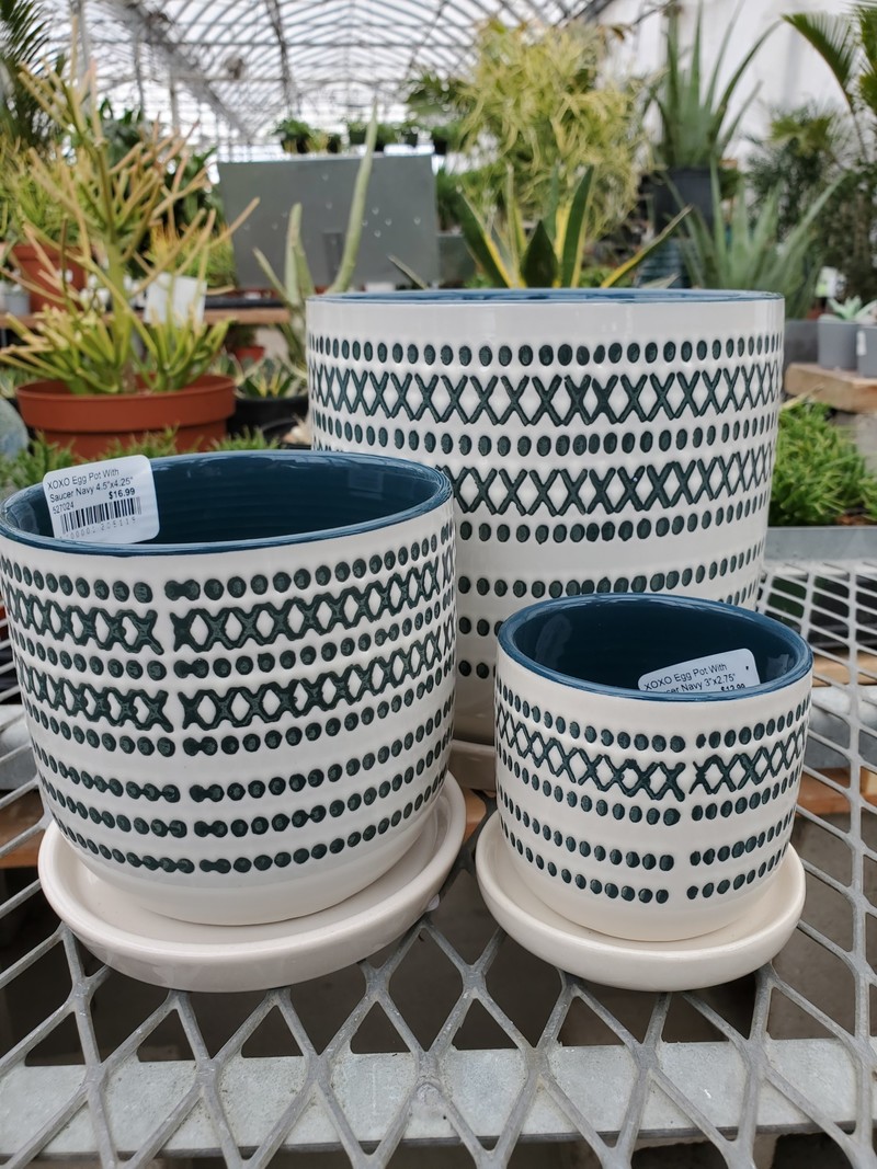 XOXO Egg Pot With Saucer