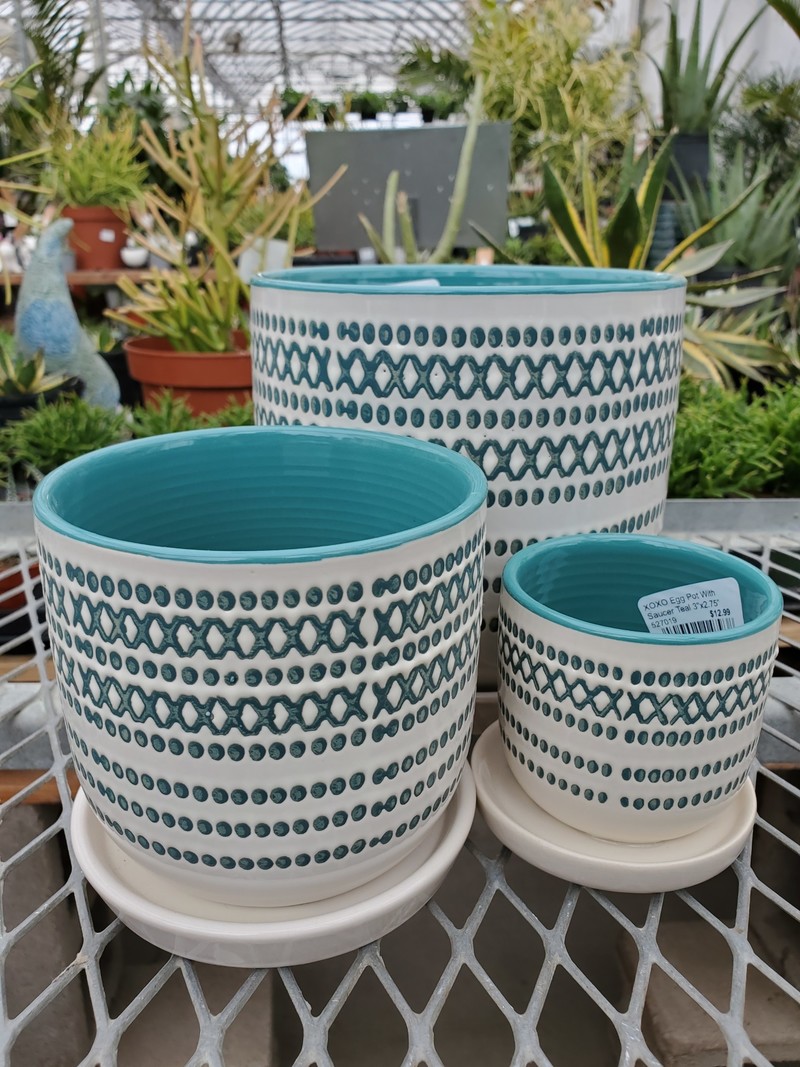 XOXO Egg Pot With Saucer