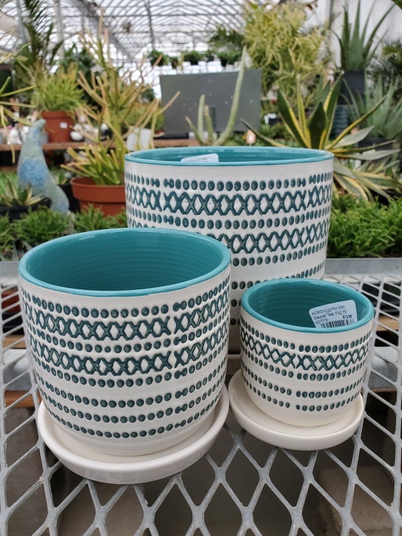 XOXO Egg Pot With Saucer
