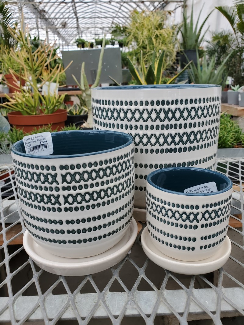 XOXO Egg Pot With Saucer