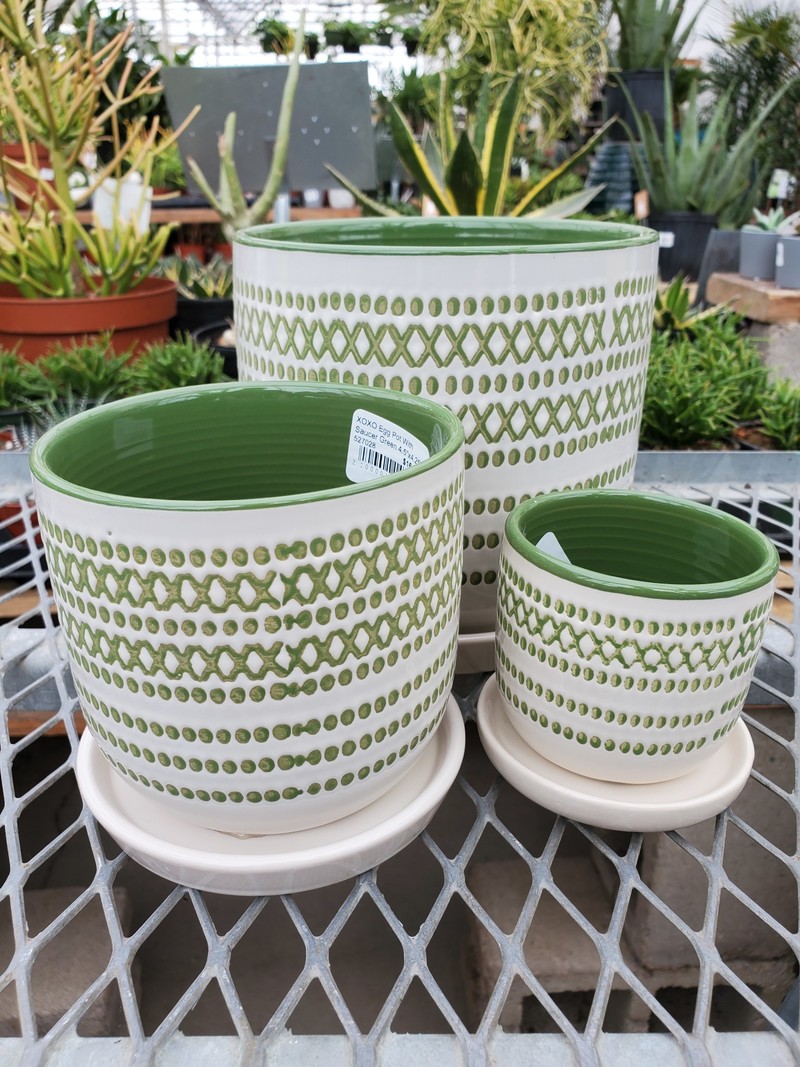 XOXO Egg Pot With Saucer
