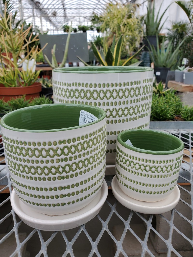 XOXO Egg Pot With Saucer