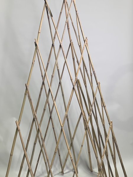 Bamboo Wigwam 2m