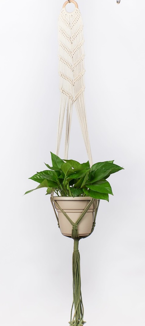 Primitive Planters Macrame Plant Hammock