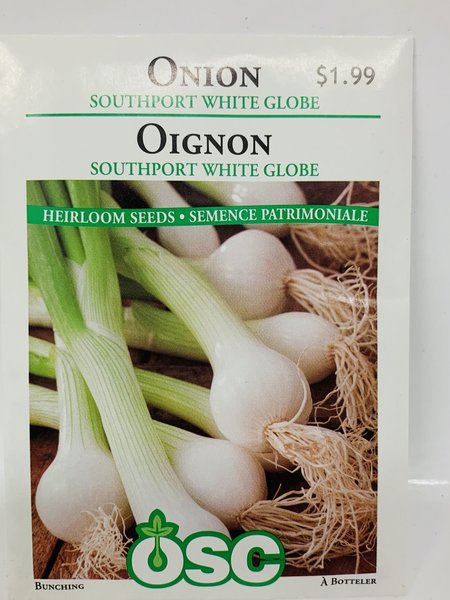 OSC Onions Southport White Globe