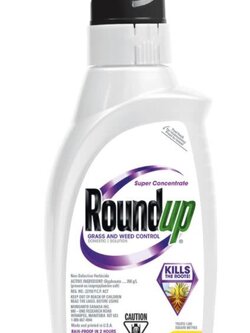 Roundup Roundup Super Concentrate Non Selective Herbicide 1L