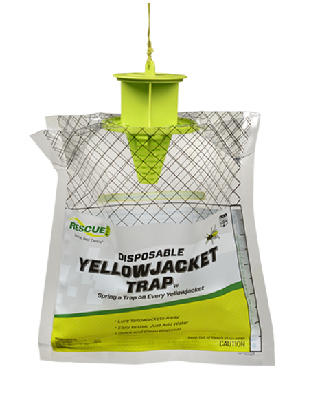Sterling International Disposable Yellow Jacket Trap