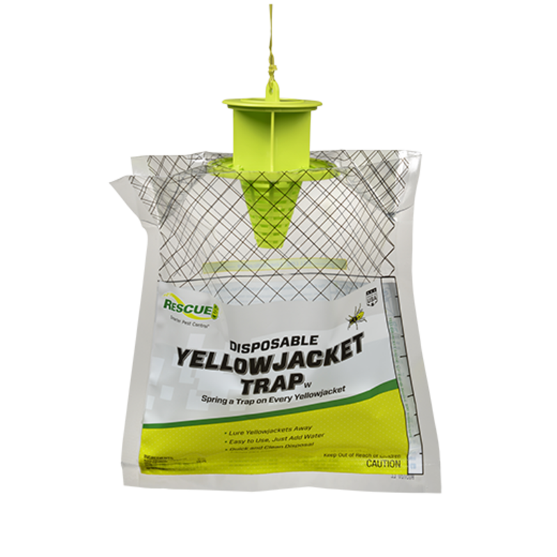 Sterling International Disposable Yellow Jacket Trap