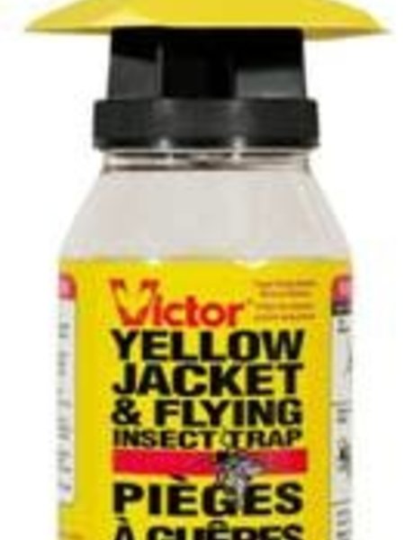 Yellow Jacket Trap