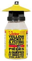 Yellow Jacket Trap