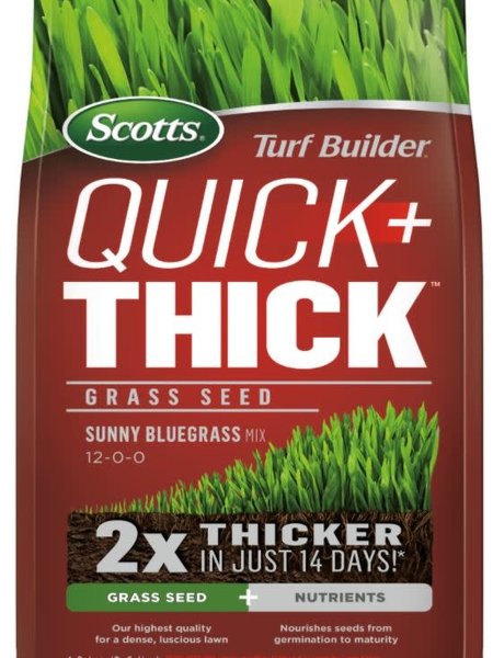 Scotts Turf Builder Quick & Thick Grass Seed Sunny Bluegrass 1.2kg