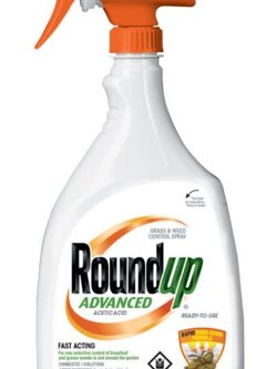 Roundup Advanced RTU Grass and Weed Control 1L