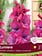 Florissa Gladiolus Dutch Lumiere