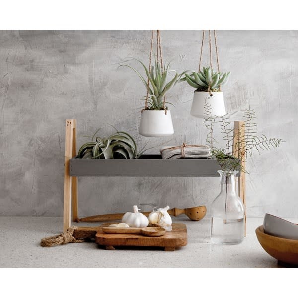 Plant In Hanging Plastic Pot