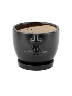 Face Planter with Saucer
