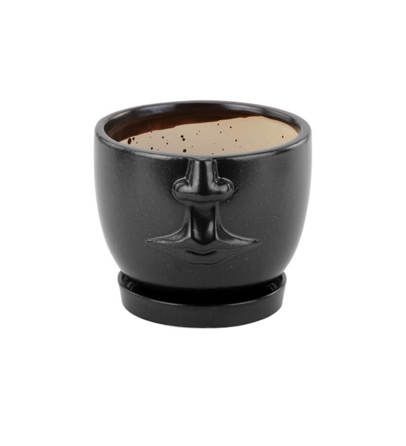 Face Planter with Saucer