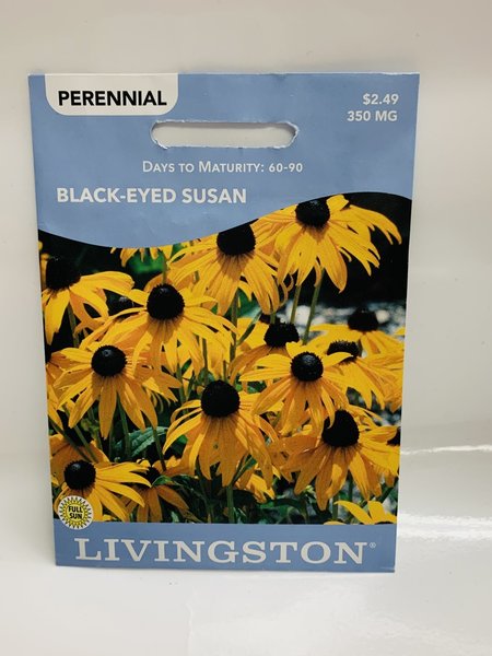 Livingston Black Eyed Susan