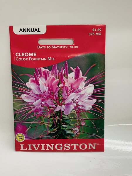 Livingston Cleome Color Fountain Mix