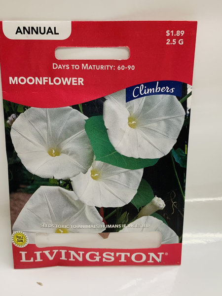 Livingston Moonflower