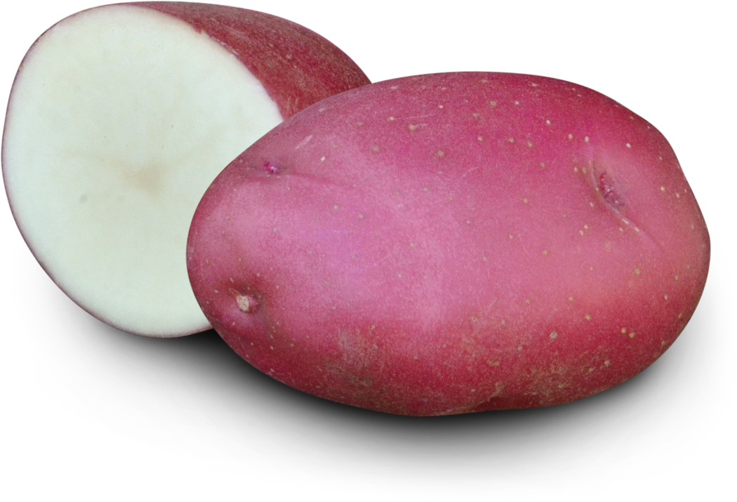 Earth Apples Autumn Rose Seed Potatoes 1kg