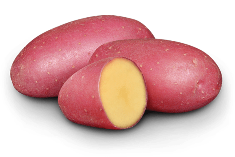 Earth Apples Cerisa Seed Potatoes 1kg