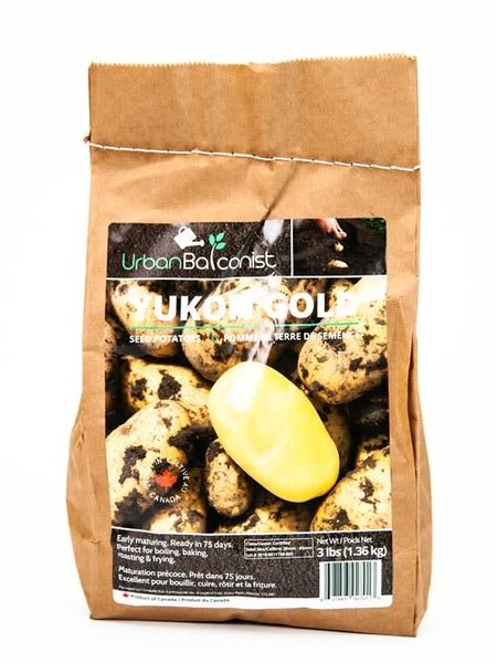 Earth Apples Yukon Gold Urban Balconist Seed Potatoes 3lb