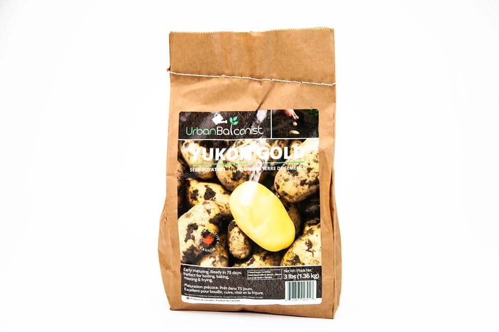 Earth Apples Yukon Gold Urban Balconist Seed Potatoes 3lb