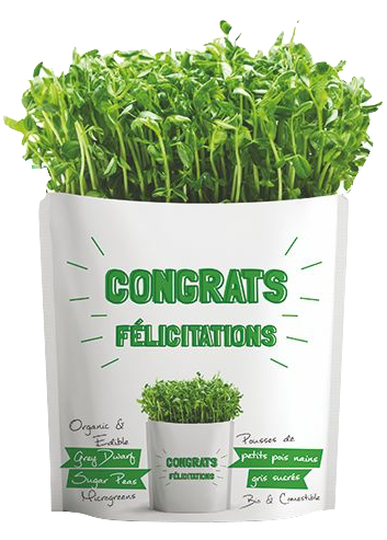 Gift-a-Green New Congrats Pouch Grey Dwarf Peas Microgreens