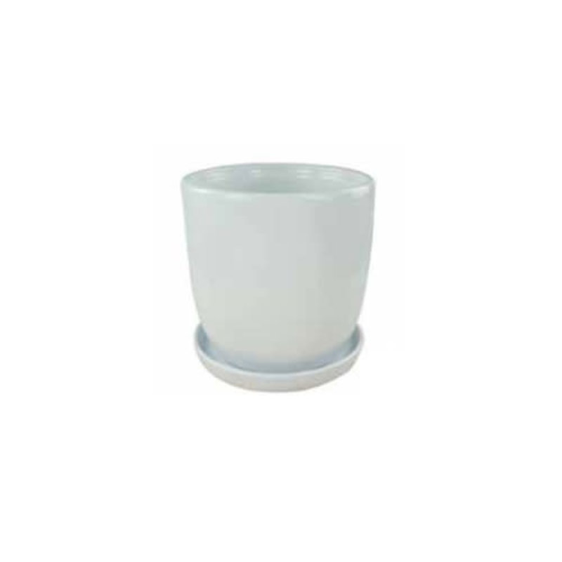 Eastham Egg Pot With Saucer