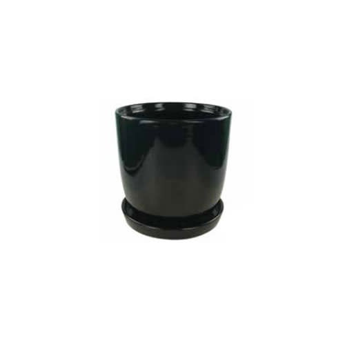 Eastham Egg Pot With Saucer