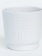 Bloom Where Ever You Are Planted White Glazed Dolomite Pot