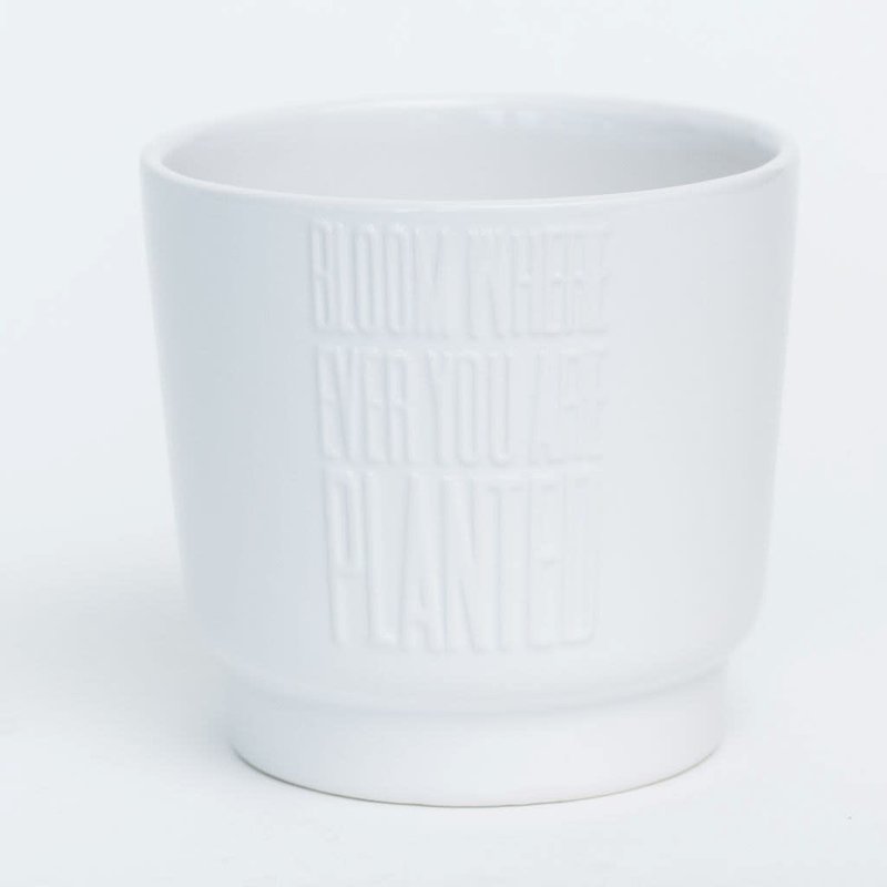 Bloom Where Ever You Are Planted White Glazed Dolomite Pot