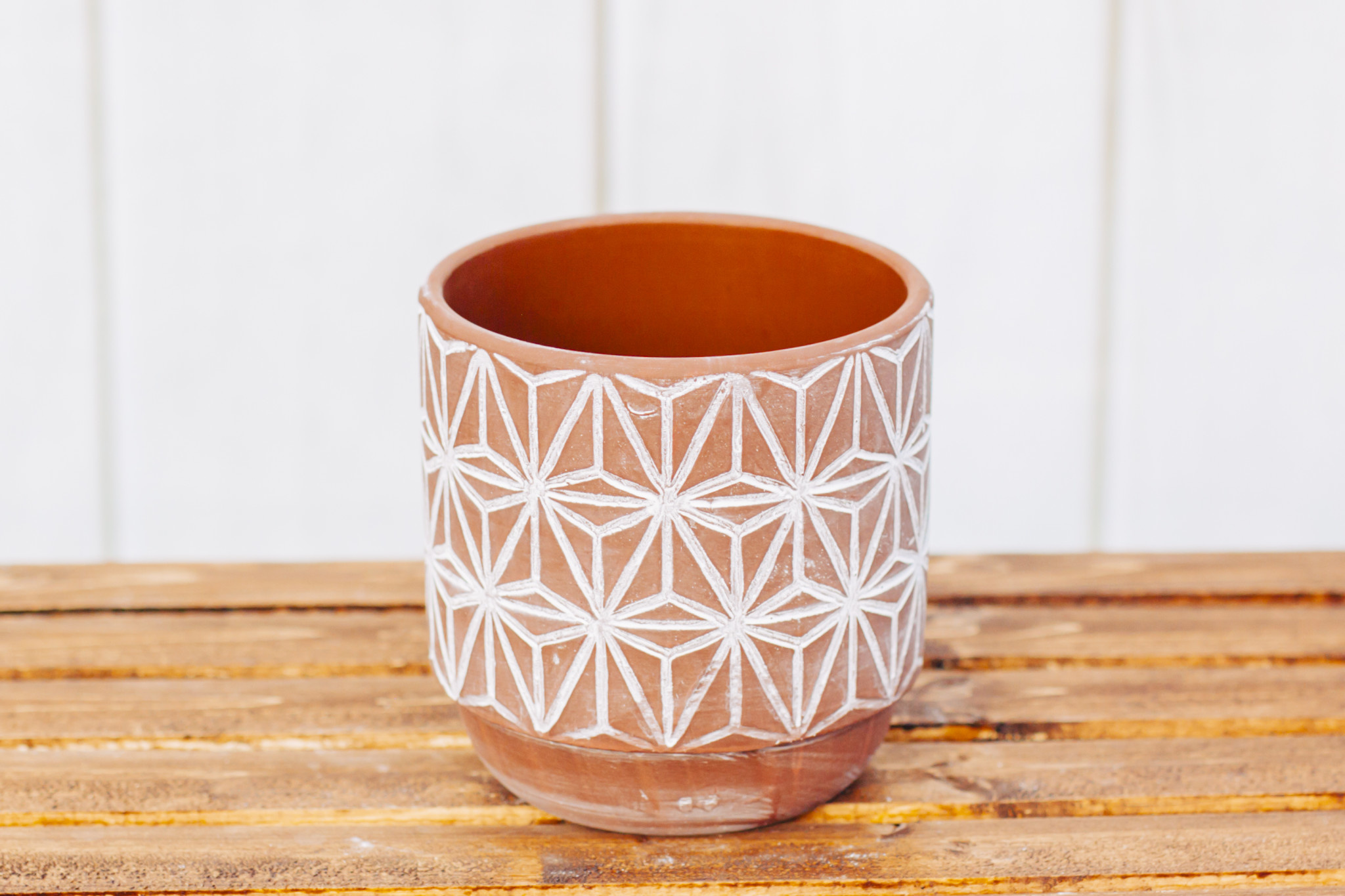 Terracotta Color Painting Pot Assorted 6"