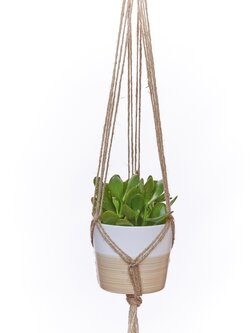 Primitive Planters Coloured Jute Plant Hanger Natural 36"