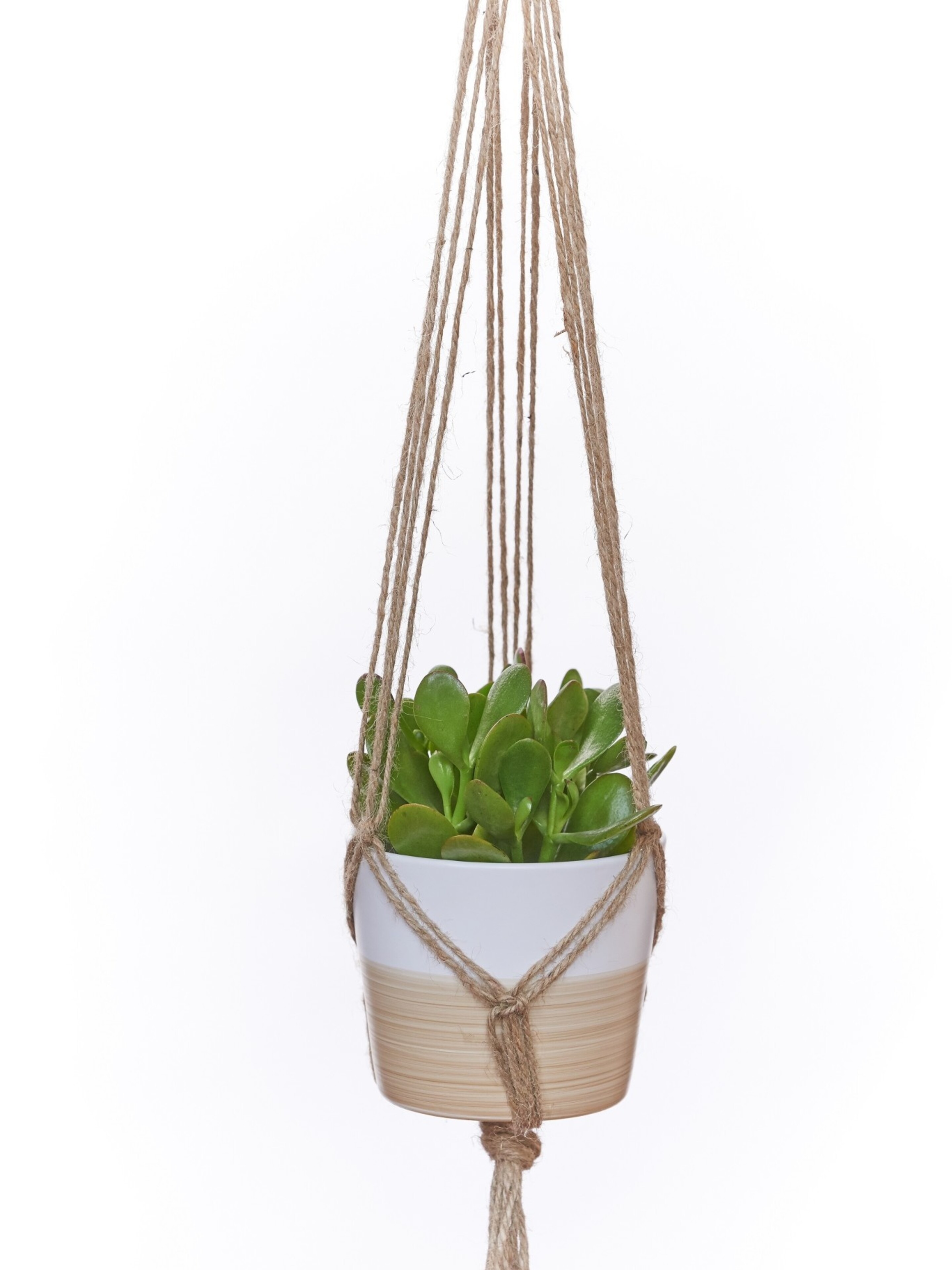 Coloured Jute Plant Hanger Natural 36" Dutch Growers Saskatoon