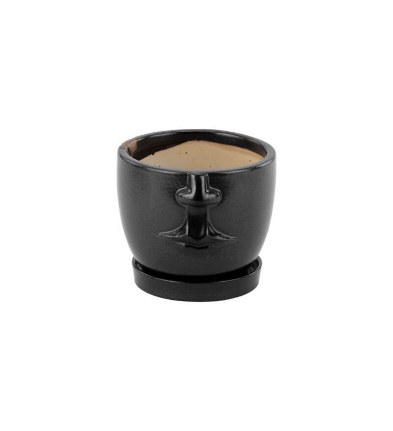 Face Planter with Saucer