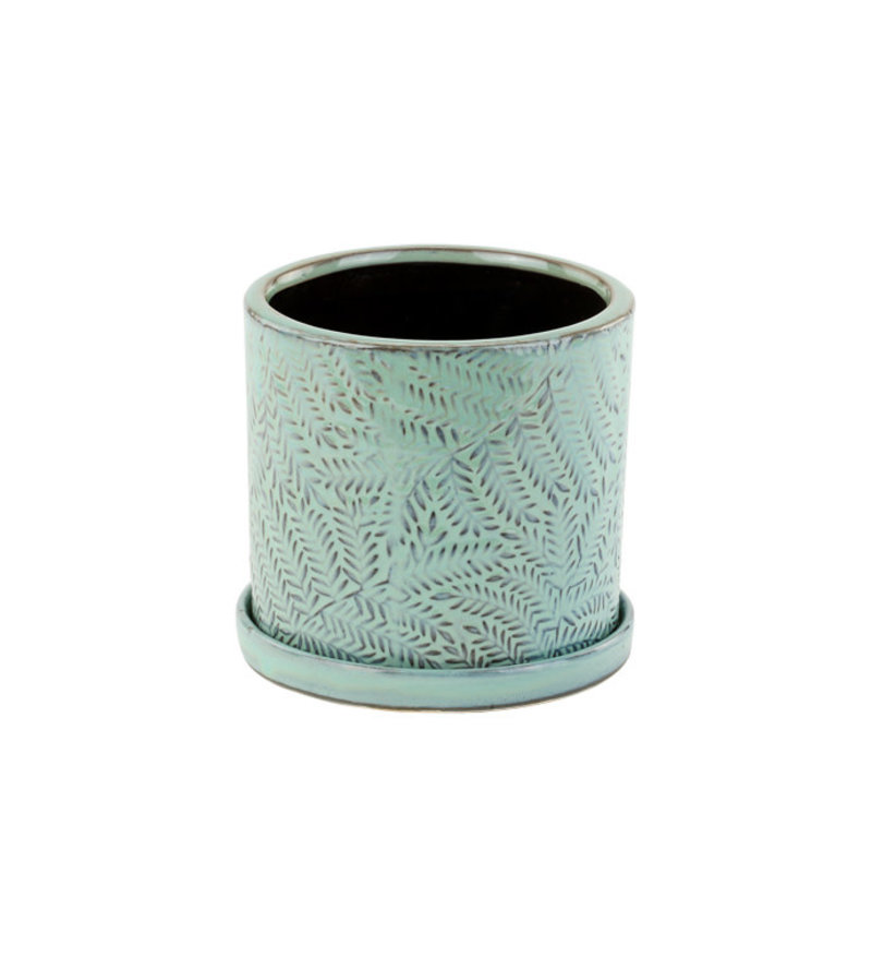 Ceramic Pot With Saucer Green Fern 4.5"