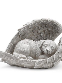 Sleeping Angel Dog