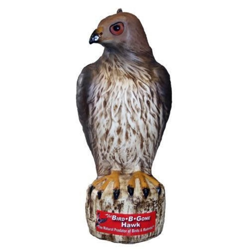 Bird B Gone Inc Decoy Hawk