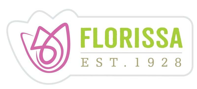 Florissa Tulip Continental