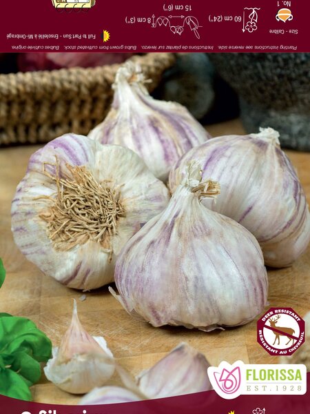 Garlic Siberian Tops