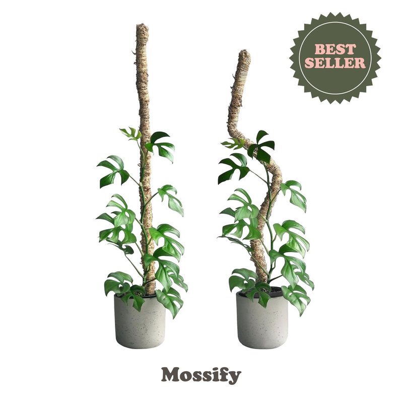 Mossify Bendable Moss Pole