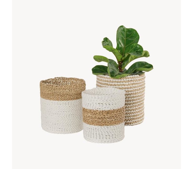 Plant Basket Natural/White