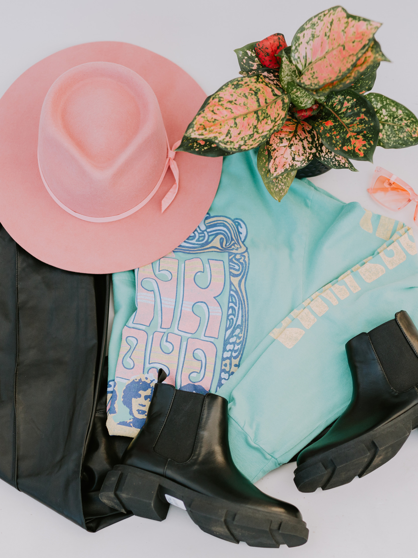 Dutch Growers Plants & Pots, Plantcare, Fashion, Home & Lifestyle