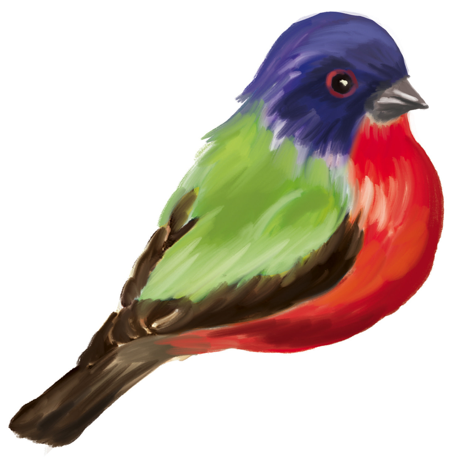 Watercolor Floral Garden Screen Savers