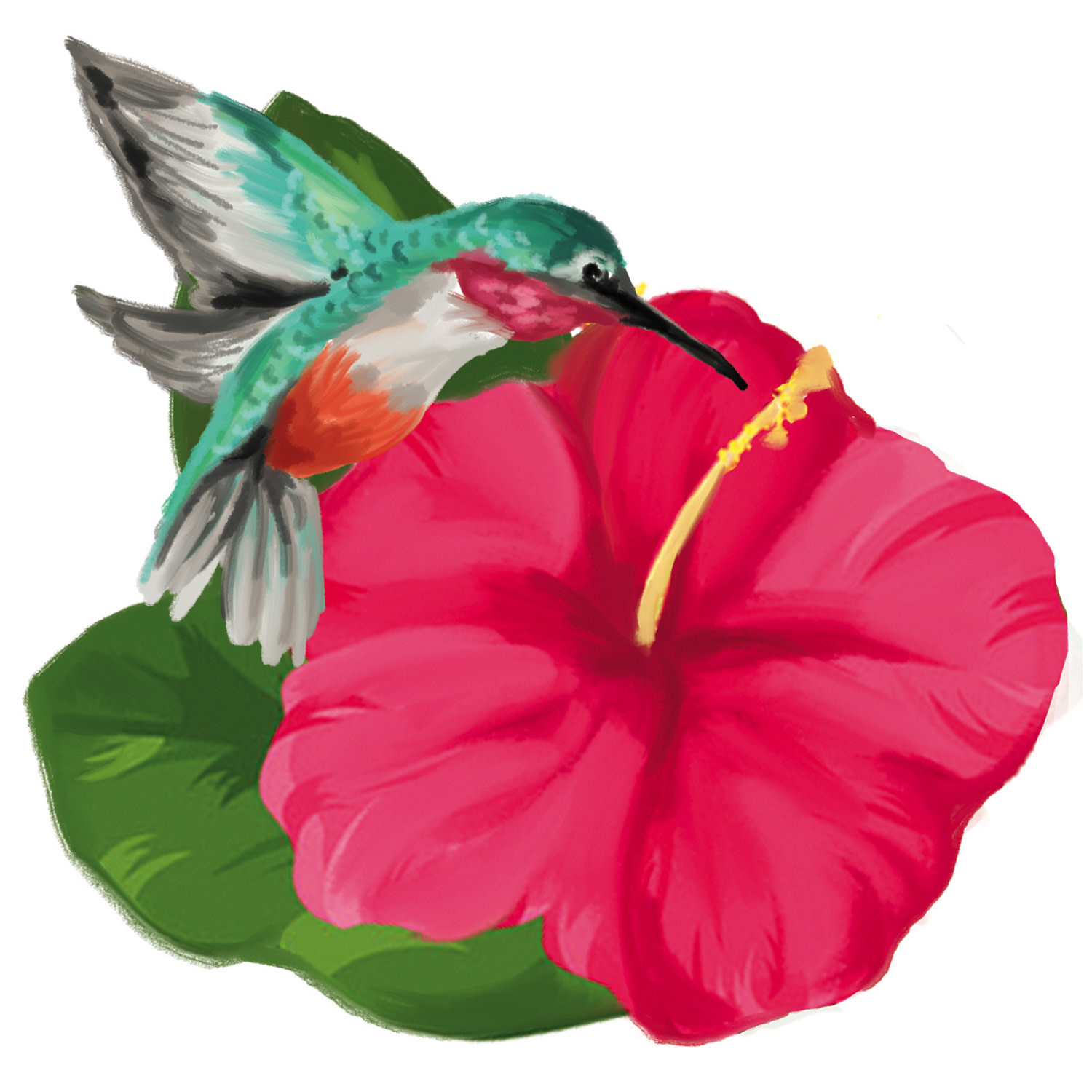 Watercolor Floral Garden Screen Savers